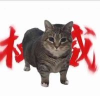 洞渊主